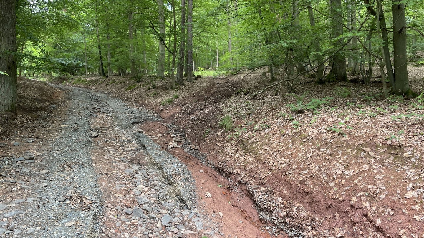 Der Starkregen an Pfingsten hat auch viele Waldwege im Wald rund um Kirn beschädigt
