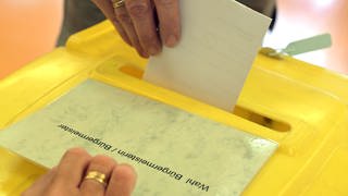 Bei der Europawahl haben viele junge Menschen in RLP AfD und Kleinstparteien gewählt