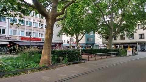 Der Dr.-Gisela-Thews-Platz in der Mainzer Innenstadt war früher ein Parkplatz. 2019 wurde er entsiegelt. 
