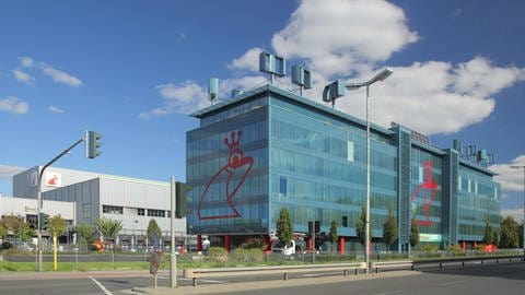 Auch die Glasfassade der Zentrale von Werner & Mertz in Mainz ist mit einem Frosch verziert. 