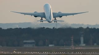 Ein Flugzeug bringt die nigerianischen Brüder Wisdom und Divine Umanah von Frankfurt nach Lagos.