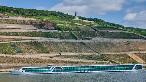 Eine Weltkriegsbombe im Niederwald oberhalb von Rüdesheim musste gesprengt werden. 