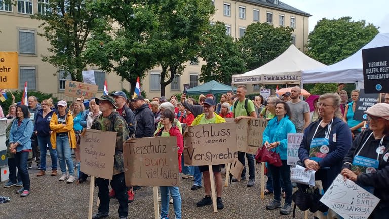 Etwa 300 Mitarbeitende von Tierheimen in Rheinhessen und Wiesbaden haben am Samstag in Mainz demonstriert.