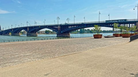 Am Mainzer Rheinufer in Höhe der Theodor-Heuss-Brücke gibt es keine Wiesen und Bäume - nur Asphalt. Dort ist es i Sommer sehr heiß.