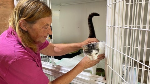 Petra Cataldi kümmert sich hingebungsvoll um die verwaisten Katzen.