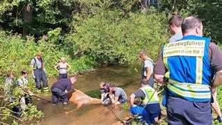 Helfer der Feuerwehr Langenlonsheim retten Pferd "Eva" aus dem Guldenbach bei Bretzenheim.