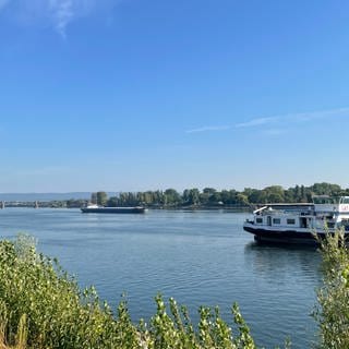 Schiffe auf dem Rhein bei Mainz: Wegen Niedrigwasser wird die Schifffahrt teurer