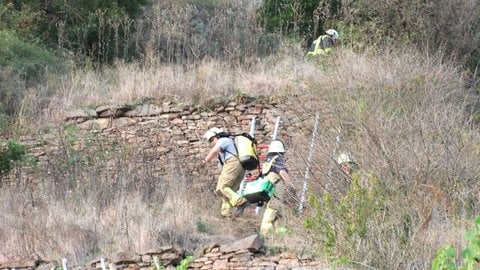 Die Einsatzkräfte mussten sich durch unwegsames Gelände kämpfen, um zu dem verletzten Kletterer am Rotenfels vorzudringen.