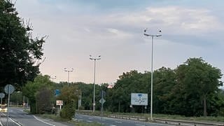 Dutzende von Störchen sitzen auf den Straßenlaternen an der Mainzer Rheinallee.