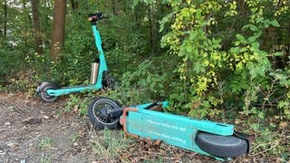 Zwei E-Scooter liegen im Gebüsch.