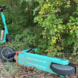 Zwei E-Scooter liegen im Gebüsch.