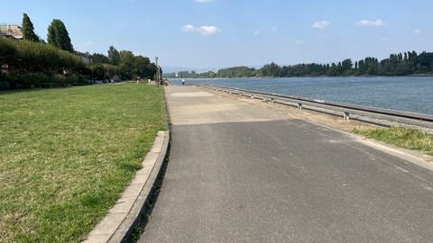 Das Rheinufer in Mainz gleicht in zum Teil einer Betonwüste. 