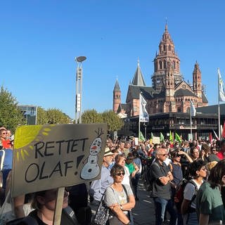 In Mainz nehmen Hunderte am "Globalen Klimastreik" von Fridays for Future teil. 