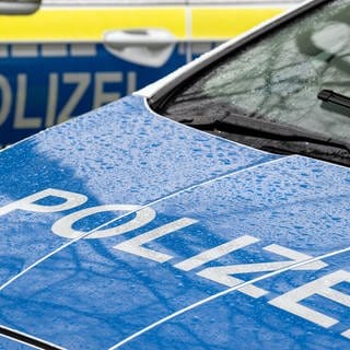 Zwei Polizeiautos (Symboldbild). In Bad Kreuznach haben Jugendliche einen anderen Jugendlichen ausgeraubt und verletzt