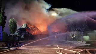 In Mainz-Hechtsheim ist ein Brand in einer Lagerhalle ausgebrochen.