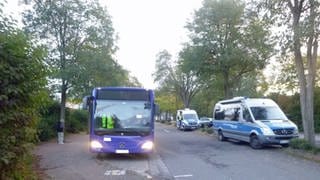 Zwei Polizeiwagen stehen neben einem Schulbus. Bei einer Kontrolle im Kreis Bad Kreuznach stellte die Polizei einige Mängel bei Bussen und Fahrern fest. 