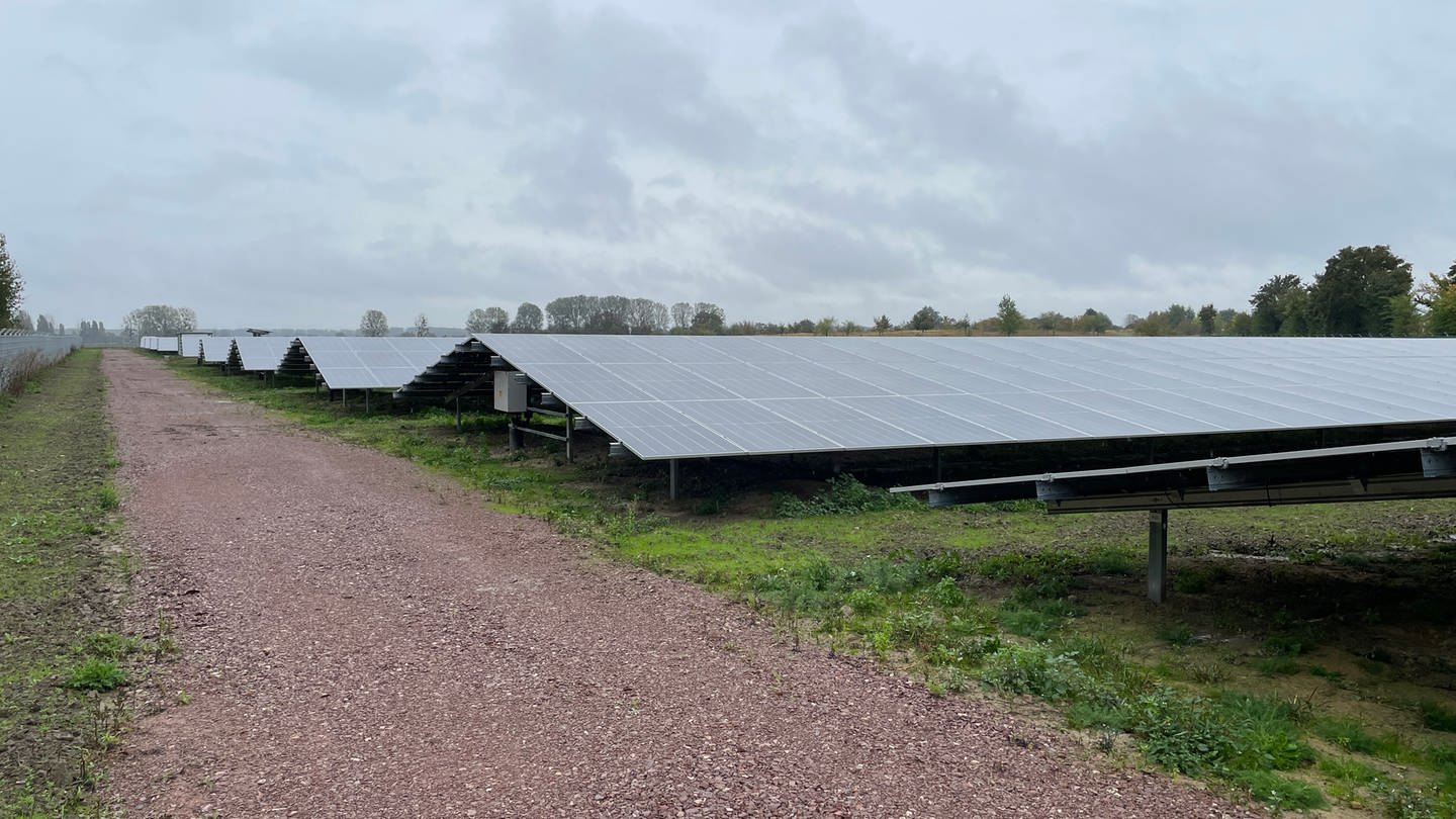 Die neue Photovoltaikanlage des Wasserversorgers wvr in Guntersblum.