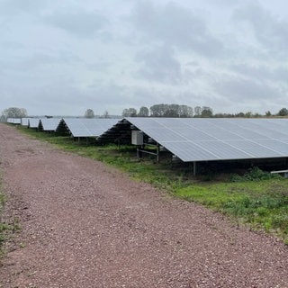 Die neue Photovoltaikanlage des Wasserversorgers wvr in Guntersblum.