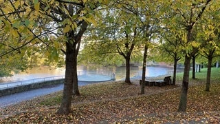 Die Kirschsteinanlage in Bad Kreuznach: Hier ereignete sich am Samstagabend der tödliche Messerangriff.