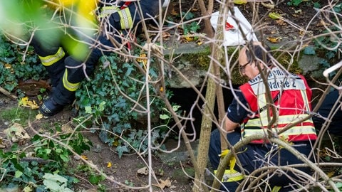 Ein Tunneleingang im Gestrüpp: Einsatzkräfte sind nach dem Fund einer Leiche in diesem historischen Schacht in Mainz im Einsatz.