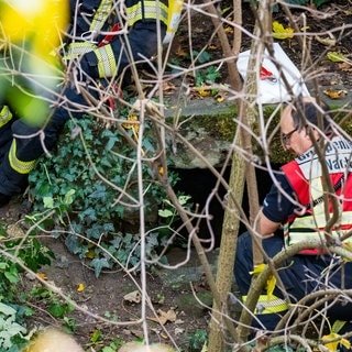 Ein Tunneleingang im Gestrüpp: Einsatzkräfte sind nach dem Fund einer Leiche in diesem historischen Schacht in Mainz im Einsatz.