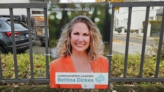 Die Wahlplakate zur Landsratswahl von CDU-Kandidatin und Amtsinhaberin Bettina Dickes werden von Unbekannten abgehängt und gestohlen.