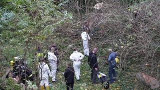 Ermittler stehen in einem Gestrüpp. In einem unterirdischen Tunnelsystem in Mainz war die Leiche es Mannes gefunden worden, dessen Identität jetzt feststeht