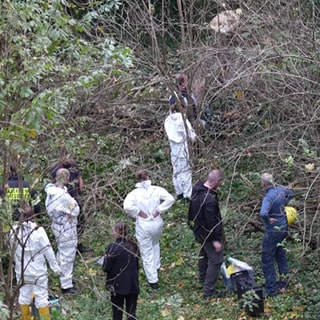 Ermittler stehen in einem Gestrüpp. In einem unterirdischen Tunnelsystem in Mainz war die Leiche es Mannes gefunden worden, dessen Identität jetzt feststeht