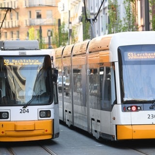 Zwei Straßenbahnen der MVG fahren durch Mainz.