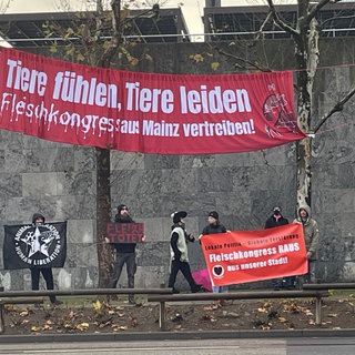 Plakataktion: Proteste gegen den Fleischkongress vor der Mainzer Rheingoldhalle