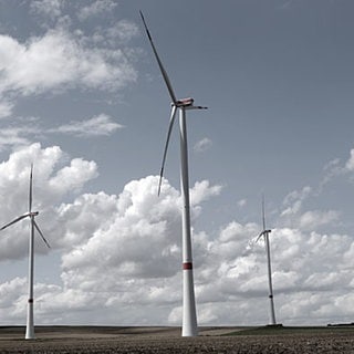 Auf einem Acker stehen drei Windkraftanlagen: Die Zahl der Windräder könnten in der Region Rheinhessen-Nahe verdoppelt werden