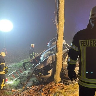 Helfer der Feuerwehr Freimersheim-Wahlheim stehen vor dem zerstörten Auto.