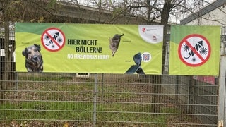 Ein Plakat mit der Aufschrift "Hier nicht böllern". Die Stadt Mainz will damit die Tiere im Tierheim an Silvester schützen