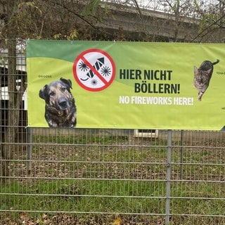 Ein Plakat mit der Aufschrift "Hier nicht böllern". Die Stadt Mainz will damit die Tiere im Tierheim an Silvester schützen