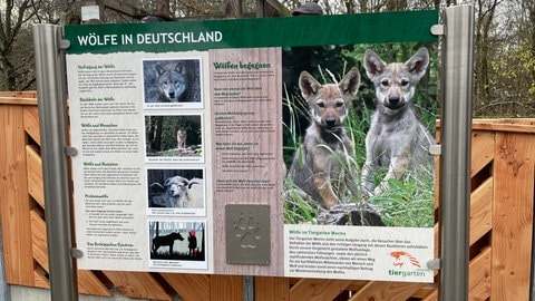 An der Infotafel direkt am Wolfsgehege erfahren die Besucherinnen und Besucher viel Wissenswertes über die Wölfe.