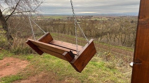 Weinbergsschaukel bei Nackenheim im Kreis Mainz-Bingen