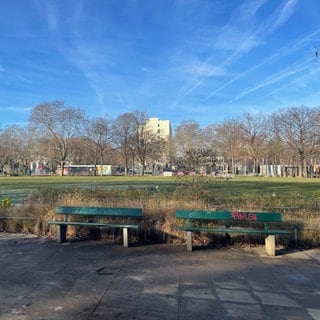 Der Goetheplatz in Mainz. Im Vordergrund sind Parkbänke zu sehen. 