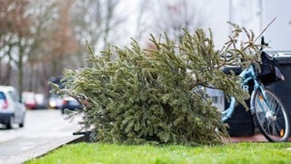 Weihnachtsbaum am Straßenrand