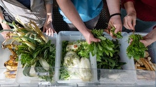 Ehrenamtliche Helfer sortieren in einer Foodsharing-Station Lebensmittel.