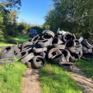 Um die hundert Autoreifen stapeln sich auf einem Waldweg. In Bingen haben Unbekannte schon mehrmals Autoreifen illegal entsorgt.