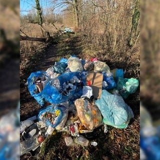 Umbekannte haben Tüten voller Müller in das Naturschutzgebieten zwischen Mainz-Finthen und Budenheim geschmissen.