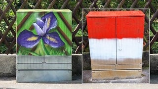 Künstler hatten ursprünglich einige Stromkästen mit unter anderem mit Blumen besprüht (links) jetzt haben offenbar Mainz-05- Anhänger sie übermalt (rechts) und die Kunst zerstört.