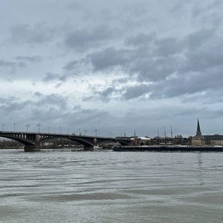 Blick vom Wiesbadener Rheinufer auf die Theodor-Heuss-Brücke in Mainz.