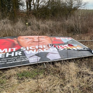 Ein kaputtes Plakat von Olaf Scholz: Viele Wahlplakate in Mainz massiv zerstört