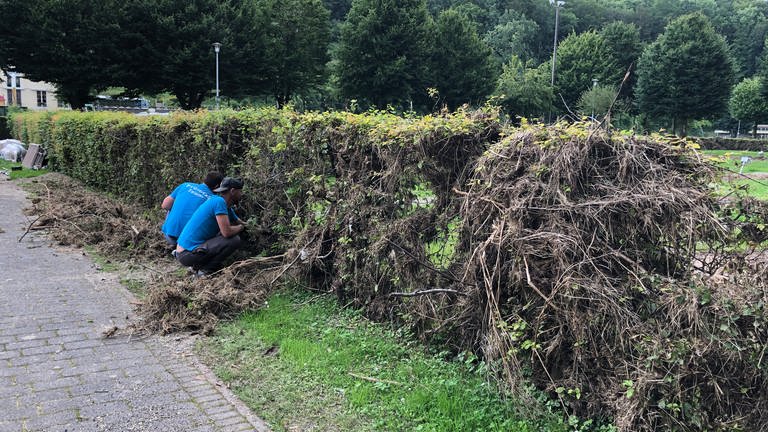 Angestellte des Campingplatzes in Oberweis befreien die Hecken von Stroh, Ästen und Müll. "Morgens stehen wir auf, dann räumen und putzenwir auf bis wir ins Bett gehen. Am nächsten Tag fängt es von vorne an" sagt ein Arbeiter