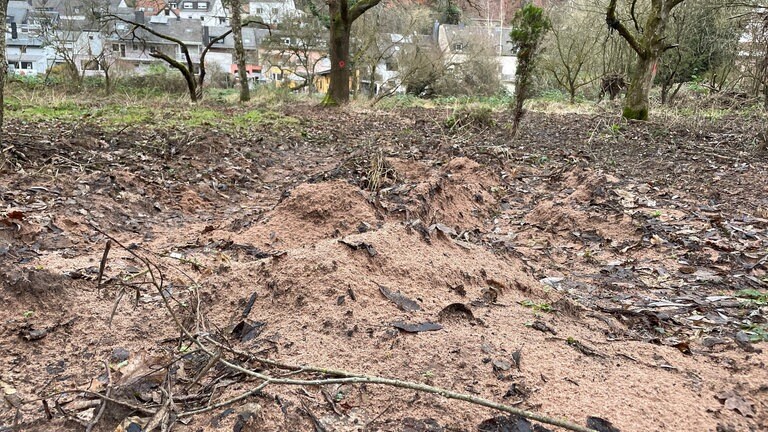 Durch das Hochwasser an der Kyll hat sich viel Sand auf der Insel abgelagert. 