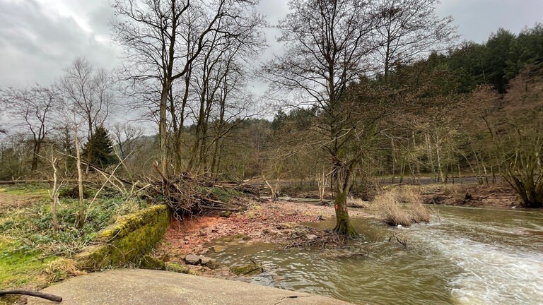 Spitze der Kyll-Insel bei Trier-Ehrang. 