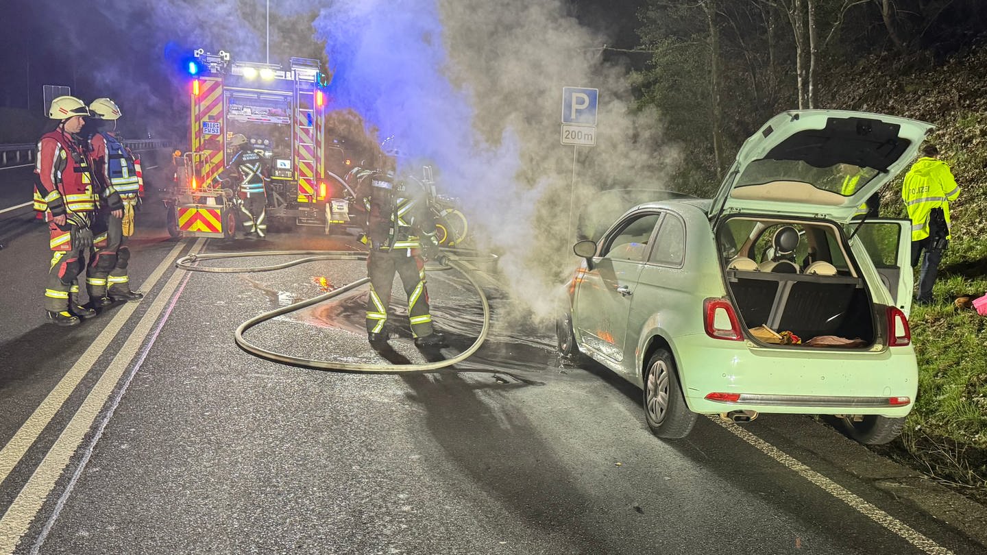 Nach dem das Auto bei Birkenfeld Feuer gefangen hatte, sprang ein Hund aus dem Wagen und wurde vom Gegenverkehr überfahren.