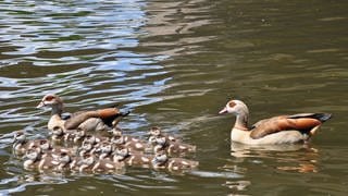 So schön war das erste Sommerwochenende in der Region Trier