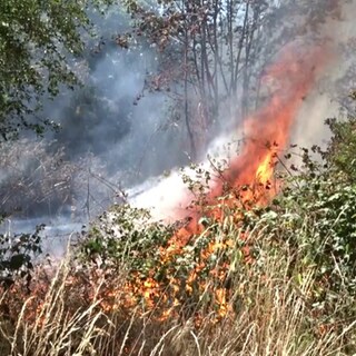 Bei Deuselbach brannte ein Waldstücl.